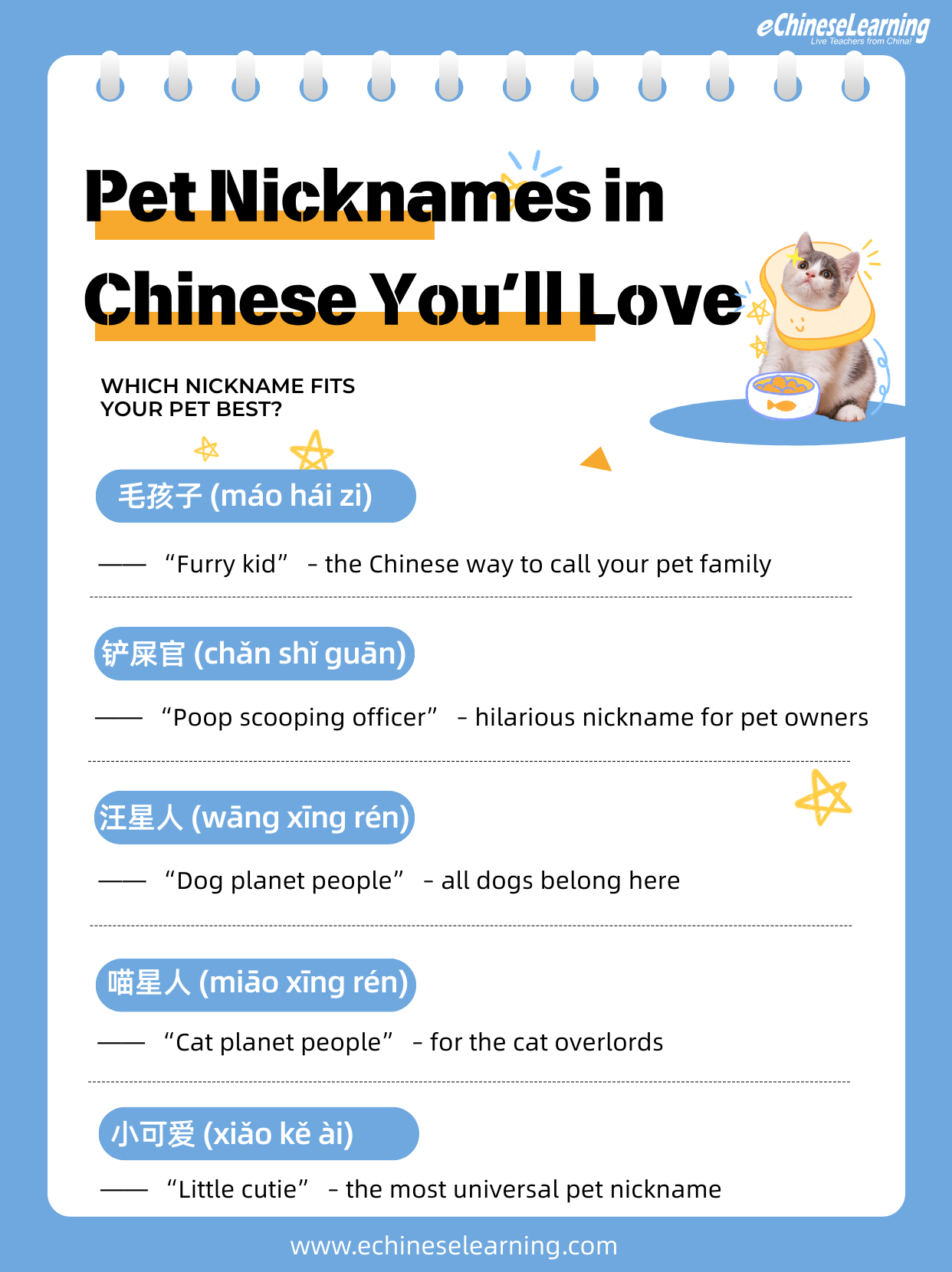 Learn Mandarin Chinese Online